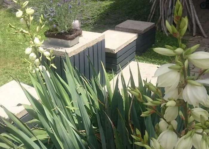 לינה וארוחת בוקר K82 &